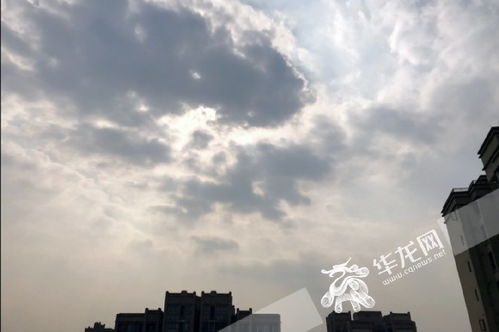 道真天气预报，山城气象的温柔与力量