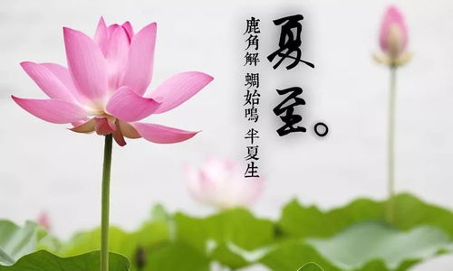 四十年后的雨