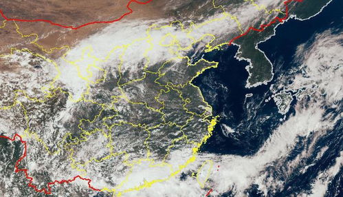 台风路径实时卫星云图，科技之眼，洞悉风暴的轨迹