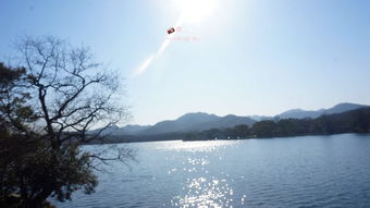 杭州天气预警，从温柔水乡到风云变幻，我们如何与自然共舞？