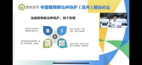 浙江台风，风雨中的坚韧与守护