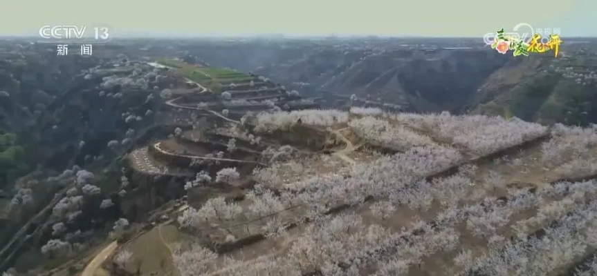 风从塬上来，志丹天气预报里的黄土情长