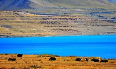 那曲天气，在离天最近的地方，领略一年的四季