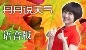 上海黄梅天，温柔与焦灼的夏日叙事