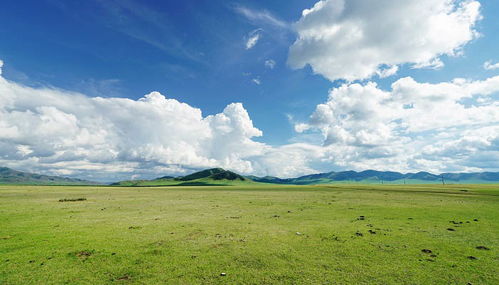 上海天气密码，在soweather的阴晴冷暖里，读懂这座城市的呼吸