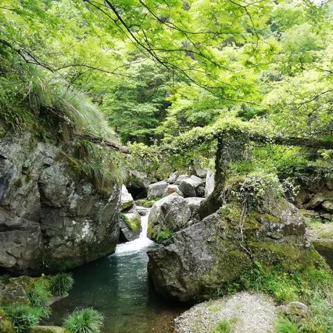 安徽未来七天天气预报,晴雨交替,气温起伏需留意 安徽未来七天天气预报,晴雨交替,气温起伏需留意