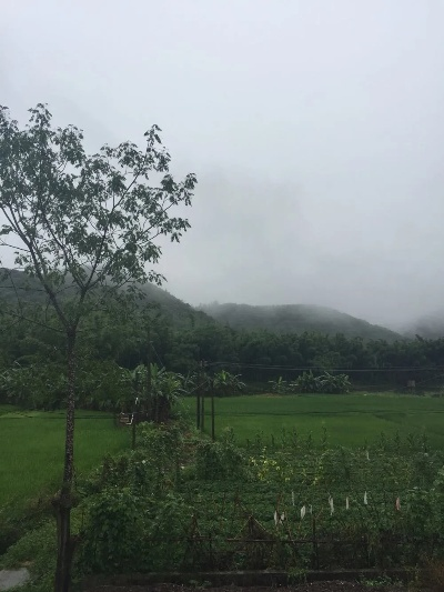 白水天气预报，一份关于家乡天空的私人笔记