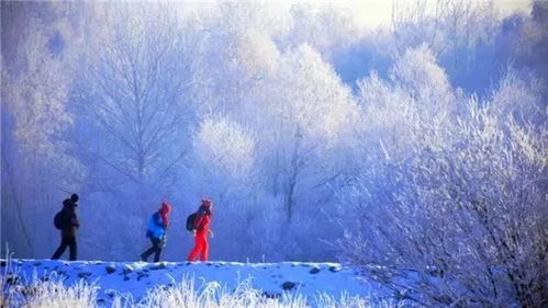 冬季旅游最佳去处，在冰雪与暖阳间，邂逅冬日浪漫