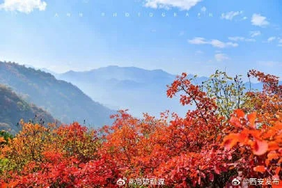 西安天气40天，从骄阳似火到秋雨绵绵，一座古城的季节变奏曲✅JDB电子花开富贵