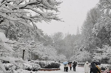 长沙银装素裹倒计时，星城迎战雨雪天气 V8.32.1