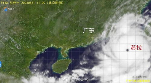 惠东天气预报,双面海洋气候下的精准生活指南 惠东天气预报,双面海洋气候下的精准生活指南