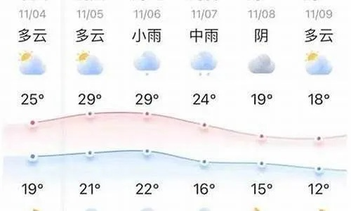 樟树天气预报，一棵树与一座城的呼吸