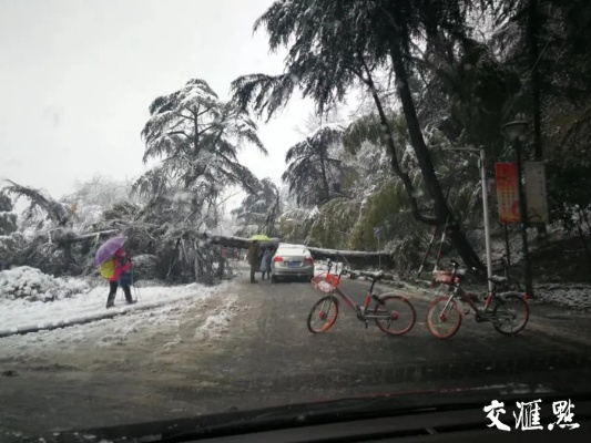 江苏大雪最新通知，暴雪预警升级，今明两天出行需格外注意