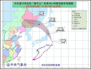风雨同路，台风实时路径网如何筑牢防灾第一道防线