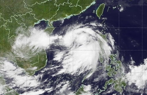 明日全城戒备，大雨暴雨预警拉响，城市防汛进入临战状态