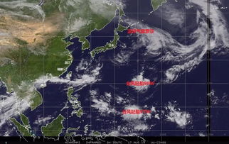 信宜天气预报，山水间的气候密码与生活智慧