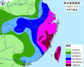 上海台风，城市与自然的博弈