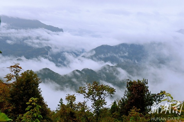 桑植天气预报，云雾缭绕中的山水生活指南