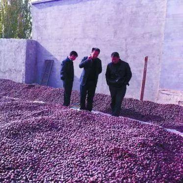 穿越时光看风云，历史天气预报15天查询的科技溯源与实鉴价值