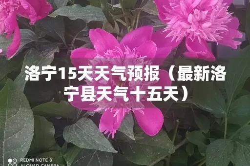 洛宁天气预报,四季轮回中的生活指南 洛宁天气预报,四季轮回中的生活指南