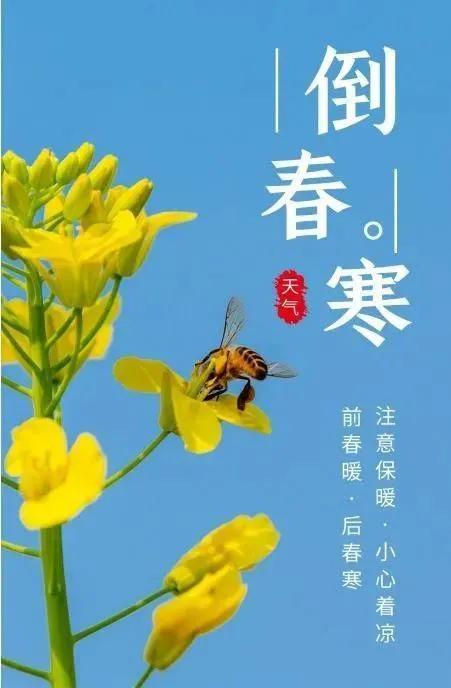 春分遇冷，杭州3月20日迎来温柔倒春寒