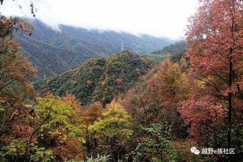 泾县的雨，最是江南