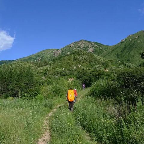 酷暑难耐?盘点国内避暑胜地排名前十,清凉一夏就选它们 酷暑难耐?盘点国内避暑胜地排名前十,清凉一夏就选它们