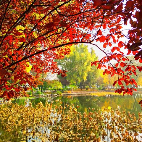 北京未来30天天气预报，冷暖交替，提前掌握秋日节奏