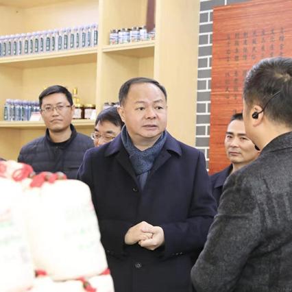 宁乡天气，四季流转里的温柔与热烈