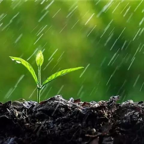 查一下明天几点下雨