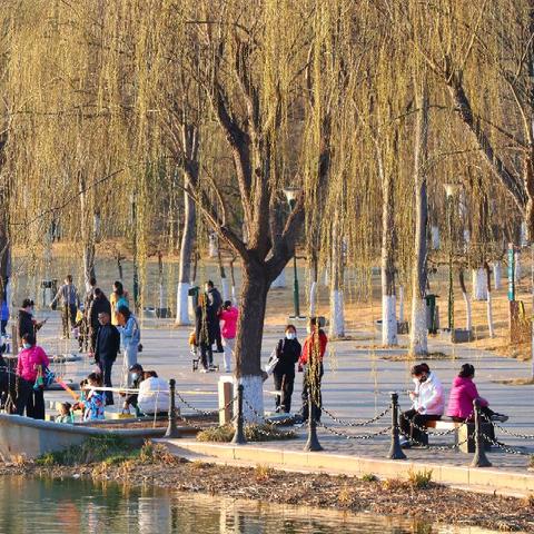 潍坊市天气预报，春意渐浓，冷暖交替需留意