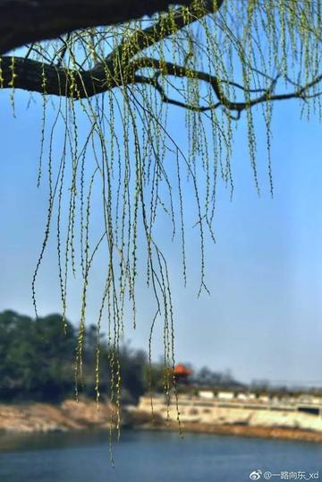 黄岛天气早知道,未来三天晴雨交替,出行请留意 黄岛天气早知道,未来三天晴雨交替,出行请留意