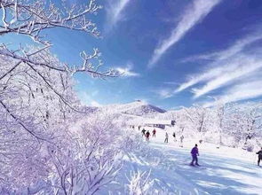重庆冬季寒意最浓的月份，揭秘山城1月低温真相