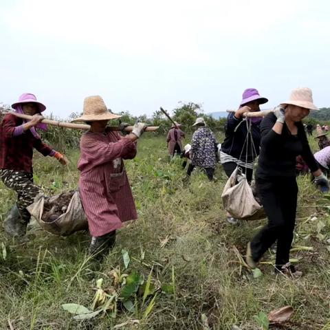 贵溪未来15天天气预报，掌握半月天气，从容应对生活与出行
