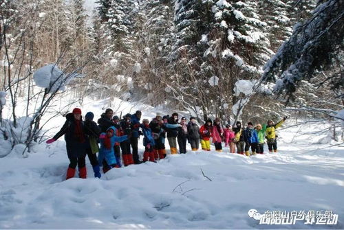 哈尔滨的雪,是一场无声的仪式 哈尔滨的雪,是一场无声的仪式