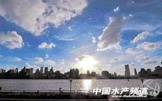 青县天气预报，守护古运河畔的晴雨冷暖